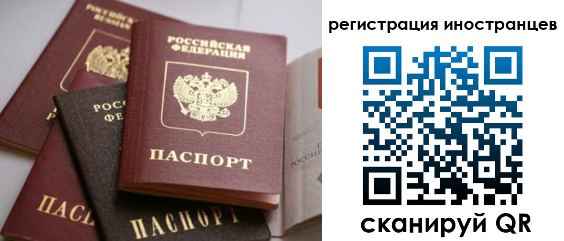 форма 3 в Дорогобуже